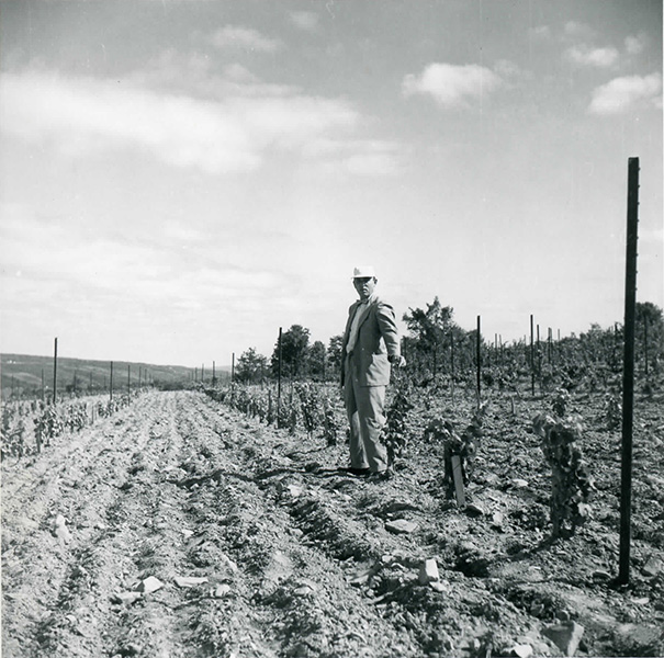 Konstantin posing in the Gold Seal vineyards.