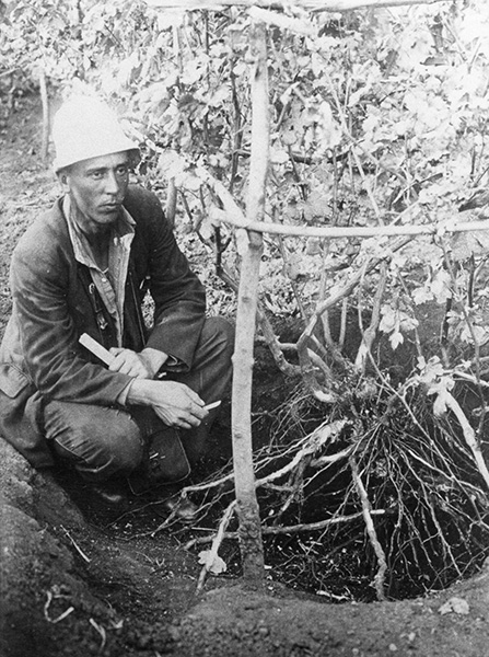 Young Konstantin in vineyard.