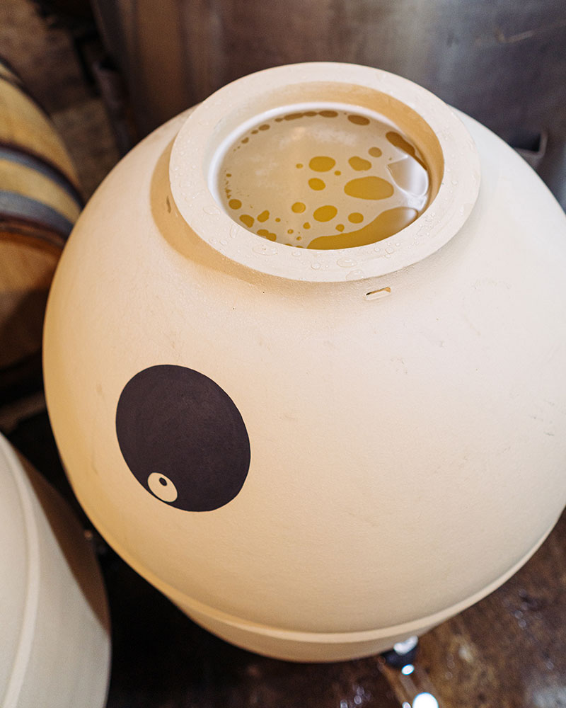 Amber Rkatsiteli in an amphora vessel fermenting.