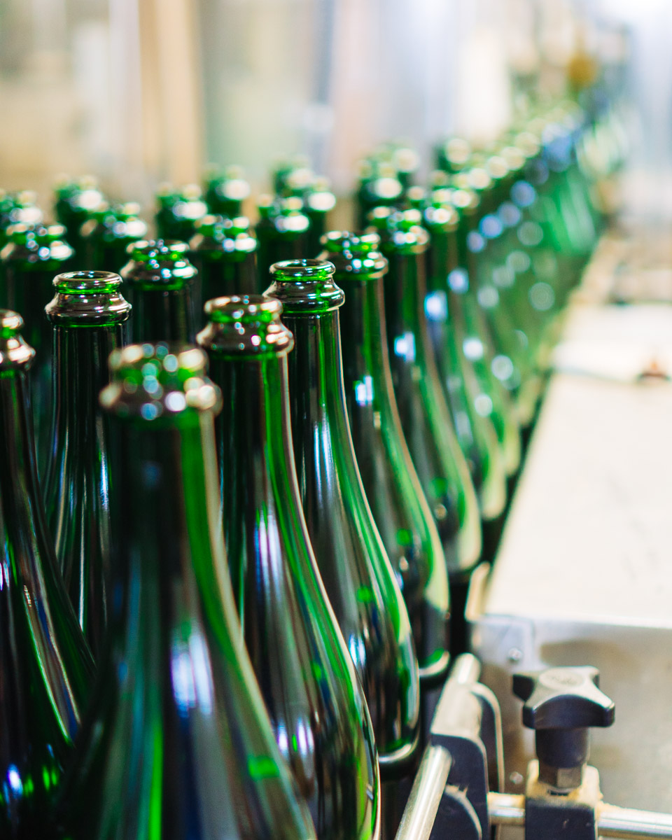 A line of several green wine bottles.