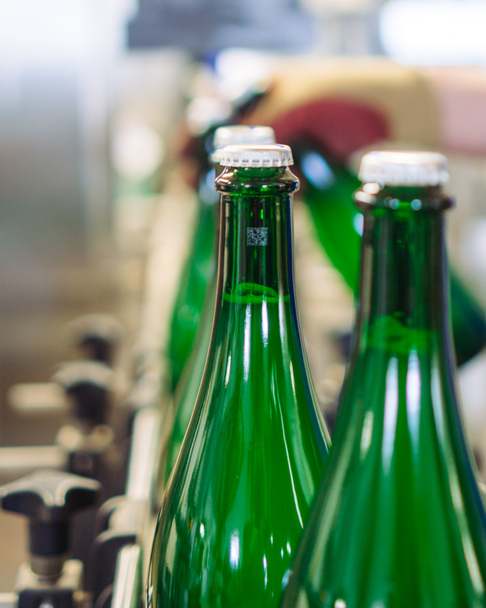 Green Wine bottles in the bottling process.