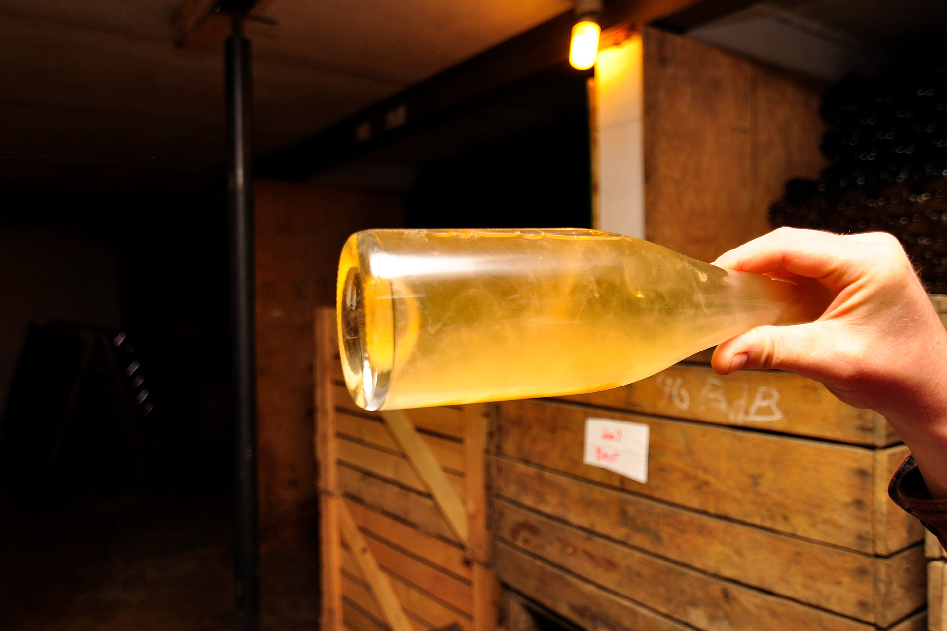 A bottle held up to the light. Photo credit to Stu Gallagher.