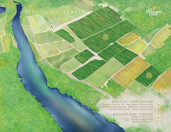 Map of Seneca Lake property.