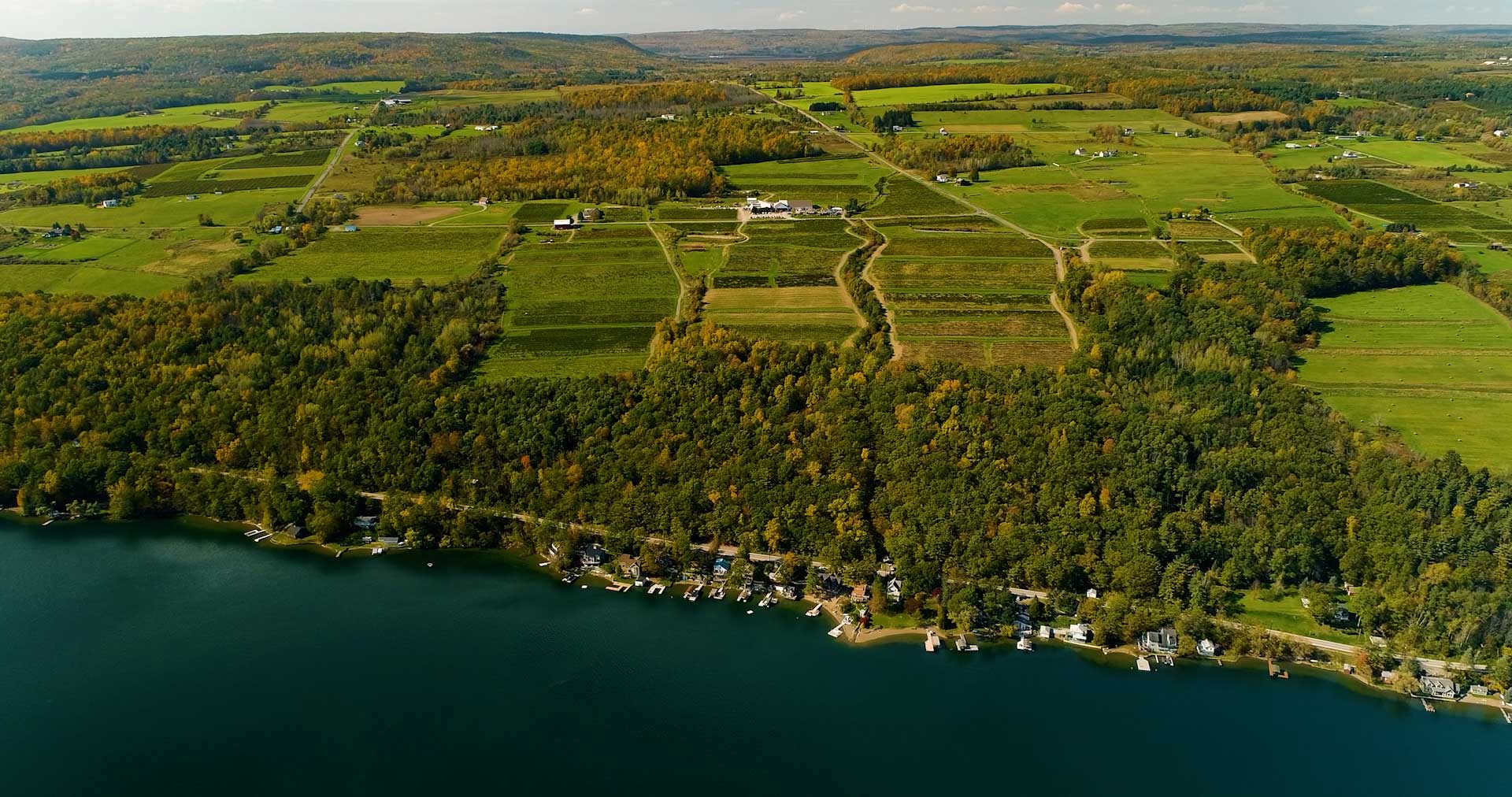 Aerial view of Dr. Frank vineyards