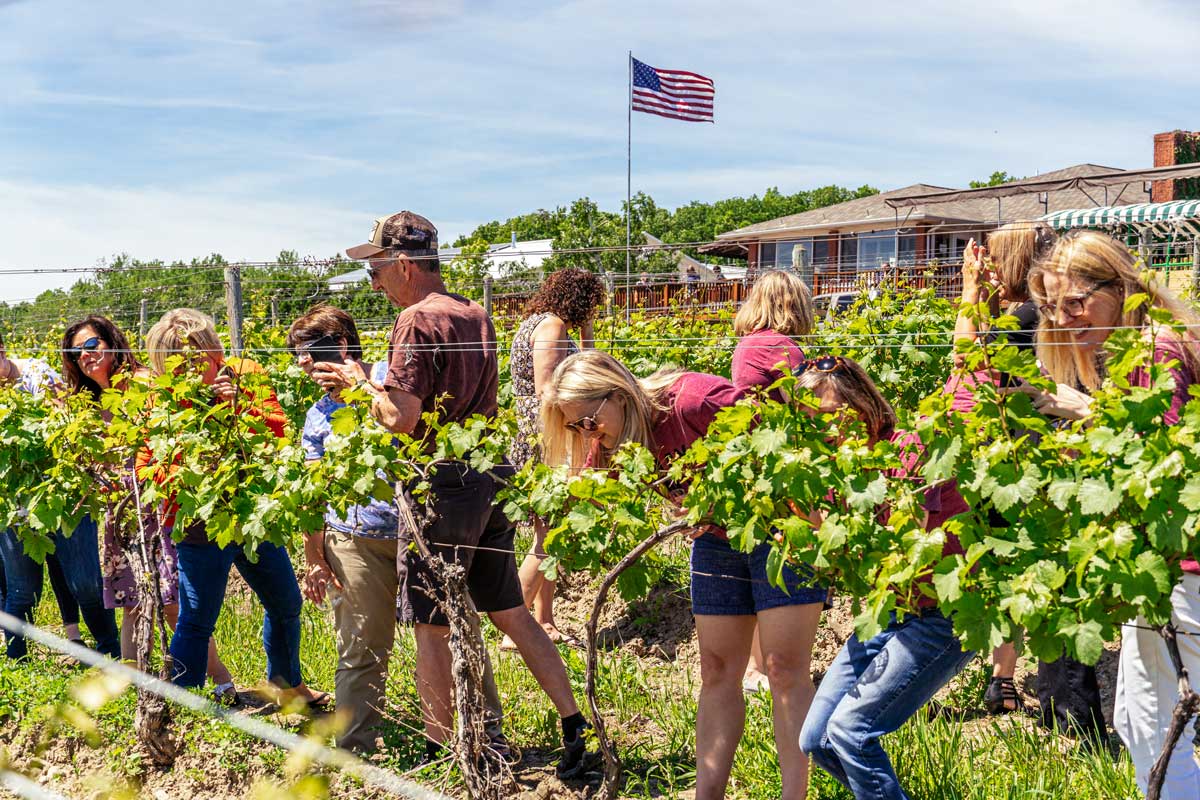 A group of people in the vineyards in front of Dr. Franks.