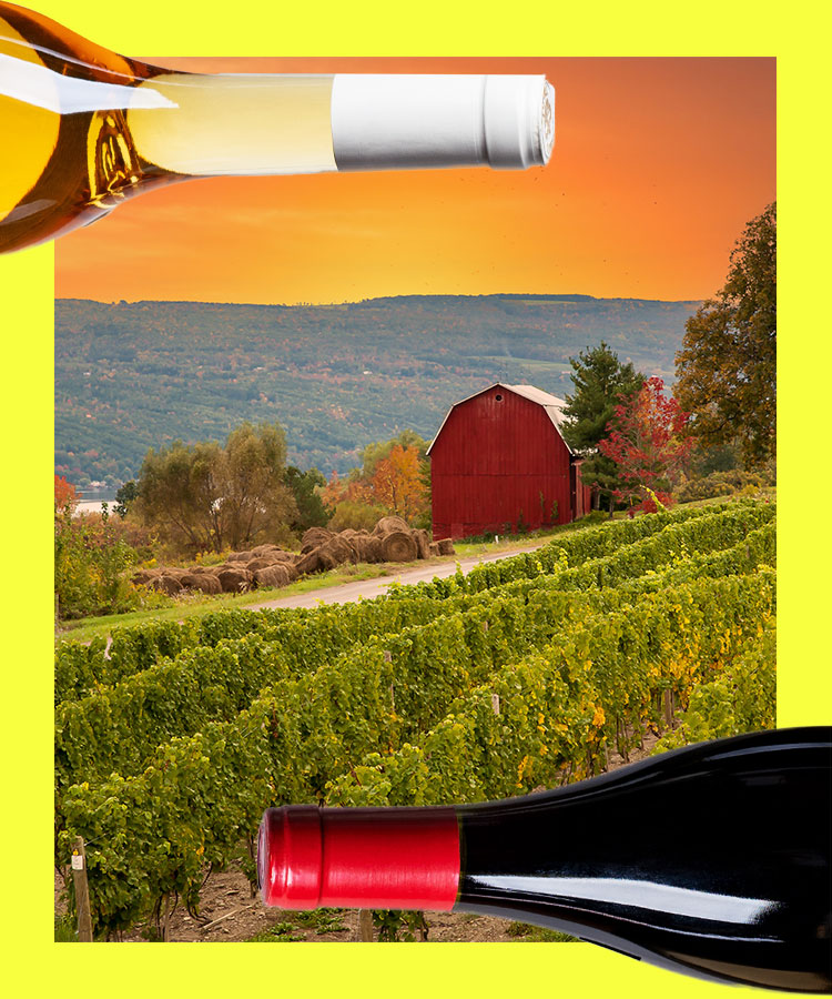 Vineyard view with a red barn and 2 bottles of wine.