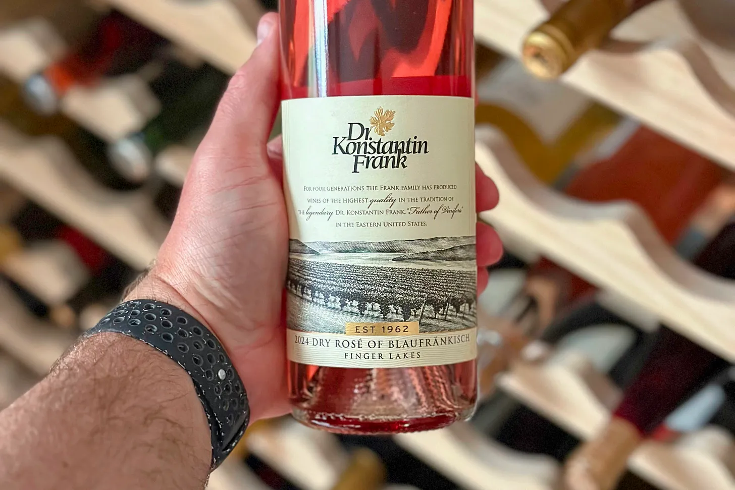 Dr. Konstantin Frank 2024 Dry Rose of Blaufrankisch in hand